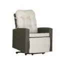 Fauteuil Releveur Extérieur 1 Moteur