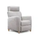Fauteuil Releveur Ajustable 2 Moteurs