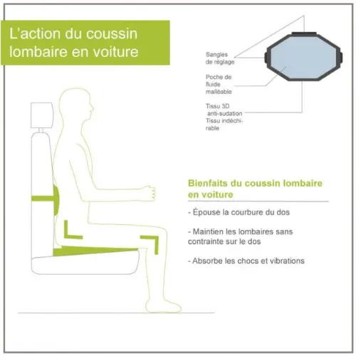 maintien lombaire vehicule