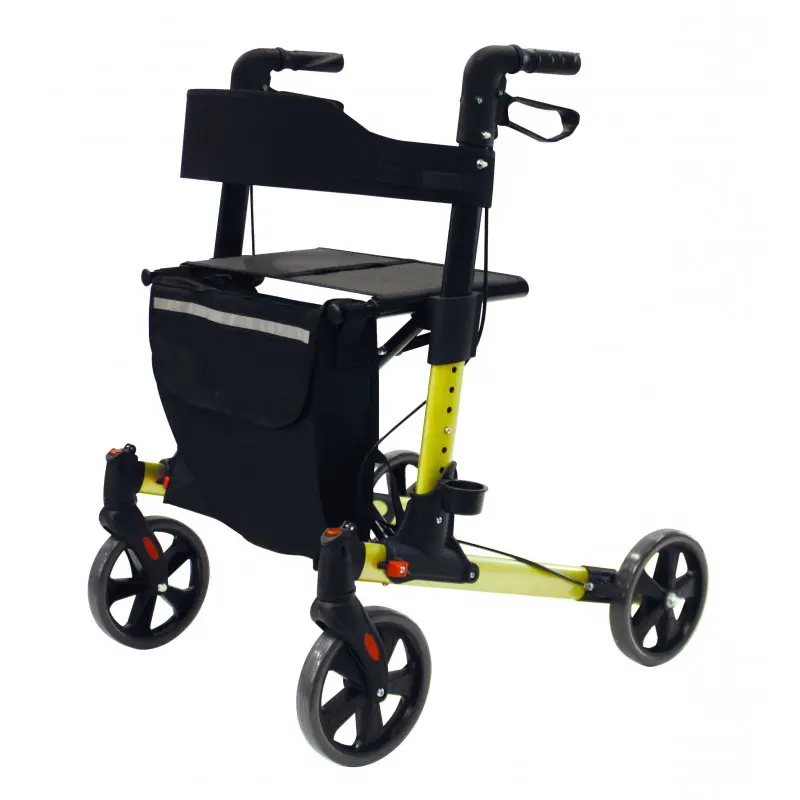 [7000007] Déambulateur 4 roues (Argent)